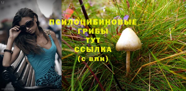 синтетический гашиш Алексеевка