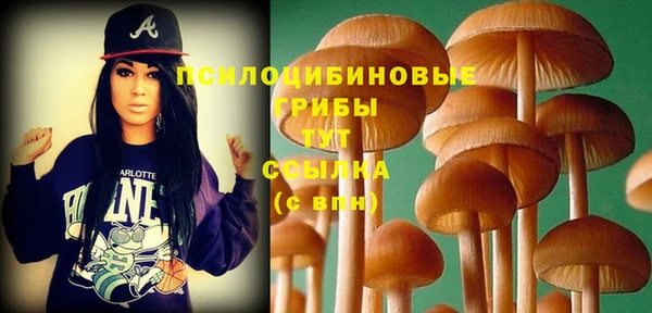эйфоретик Абаза